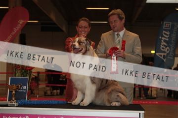 133496_tl_01_IMG_1839.JPG