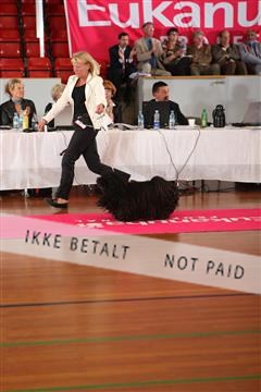 6068_ma_05_IMG_6126.JPG