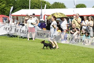 181564_kar_01__62_7878.JPG