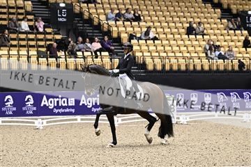 182194_kbb_03_Z099783.JPG