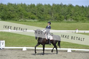 140040_abo_01__AB17359.JPG