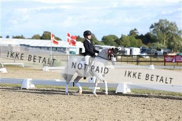 181894_mtp_05_R62_5512.JPG