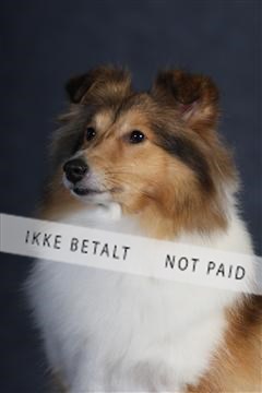 132082_le_ 01_IMG_0790.JPG