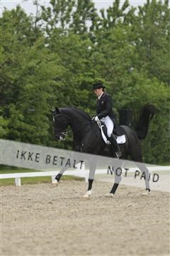 139835_sg_02_IMG_8935.JPG