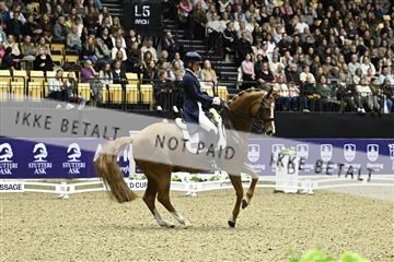 182194_kbb_03_Z091843.JPG
