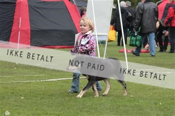 126168_tl_01_IMG_0125.JPG