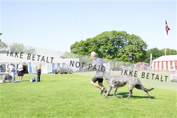 181564_kar_01__62_8348.JPG