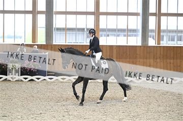 182176_kbb_01_Z092954.JPG