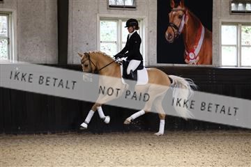 181243_avh_01_1771 (1).JPG