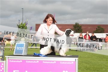 130370_tl_01_IMG_7446.JPG