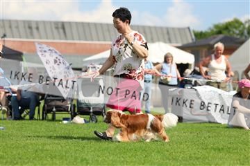181564_rin_01_R62_9709.JPG