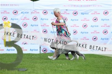 181564_rin_01_R62_9825.JPG