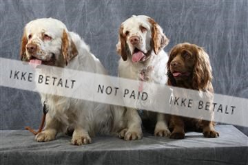 129608_le_ 01_0725.JPG