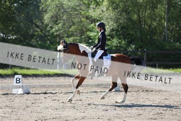 168732_mtp_01_3M5A5971.JPG