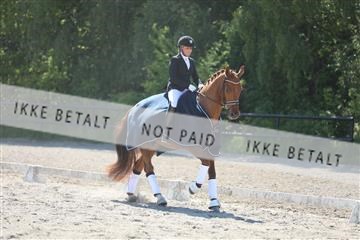 168732_mtp_01_3M5A7904.JPG