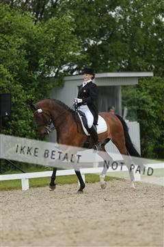 139835_sg_03_IMG_9175.JPG