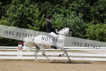 156196_nn_01_IMG_5831.JPG