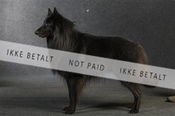 132082_le_ 01_IMG_0815.JPG