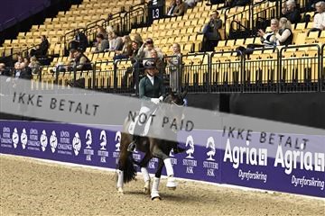 182194_kbb_03_Z091034.JPG