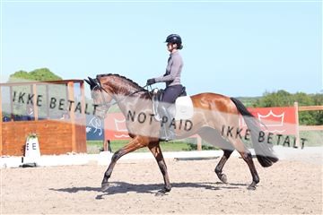 181449_bc_01R62_6092.JPG