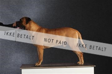 132082_le_ 01_IMG_1591.JPG