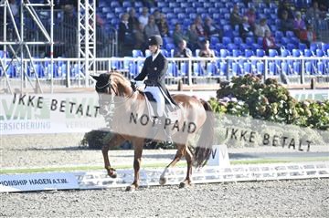 169586_kuo_06__D4S1839.JPG