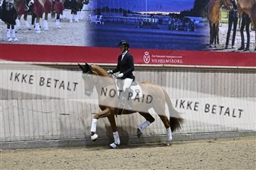 182241_kbb_01_Z092942.JPG