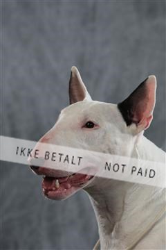 128239_le_kort_ 01_0286.JPG