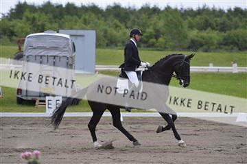 140040_abo_01__AB17528.JPG