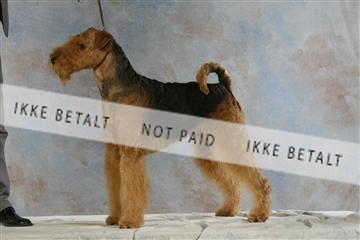 5493_sme _03__MG_9765.JPG