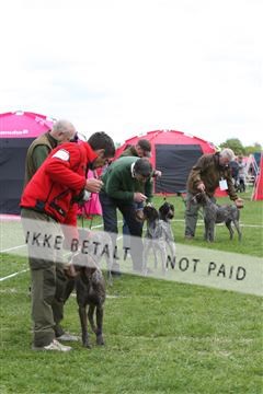 134871_ms_04_IMG_9972.JPG