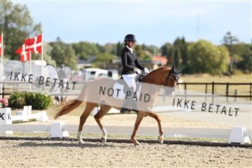 181894_mtp_02_R62_2227.JPG