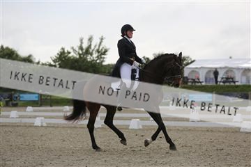 156196_nn_01_IMG_4914.JPG