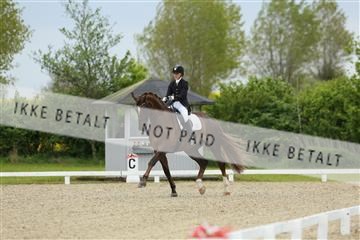 139835_sg_01_IMG_7785.JPG