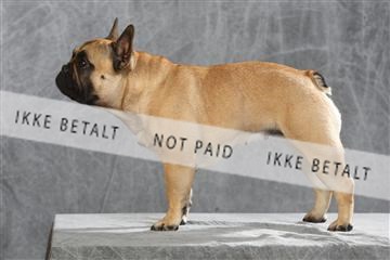 130054_le_ 01_0280.JPG