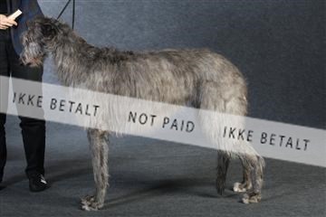 132082_le_ 01_IMG_0845.JPG