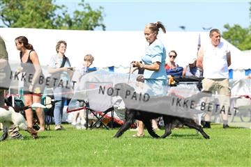 181564_rin_02_R62_3898.JPG