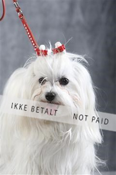 129608_le_ 01_0187.JPG