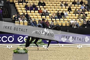 182194_kbb_03_Z090368.JPG