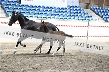 181754_kbb_01_Z092974.JPG