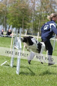 134871_ms_04_IMG_0052.JPG