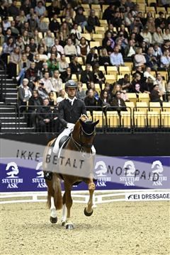 182194_kbb_03_Z092749.JPG
