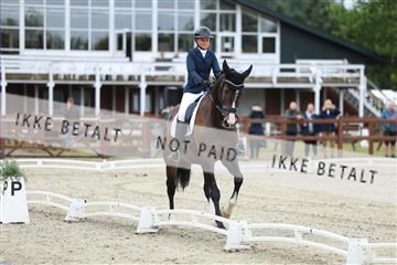 181923_mtp_02_R62_7116.JPG