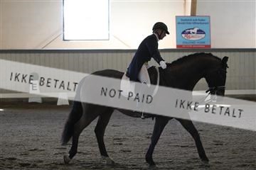 139267_kl_1_8M1Q6967.JPG