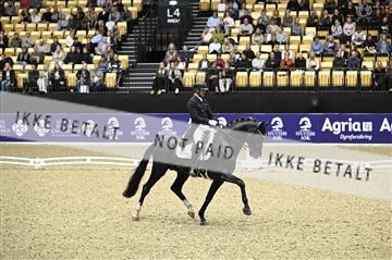 182194_kbb_02_Z098857.JPG