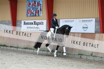 181867_mtp_02_R62_4752.JPG