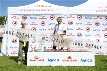 181564_kar_01__62_8110.JPG