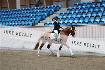 181887_mtp_04_R62_8180.JPG
