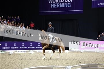 182194_avh_07_3796.JPG