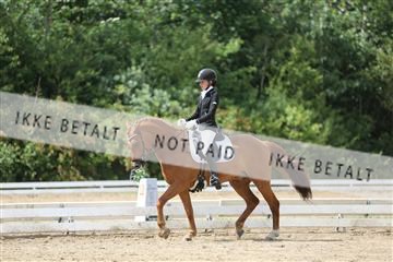 156196_nn_01_IMG_6200.JPG